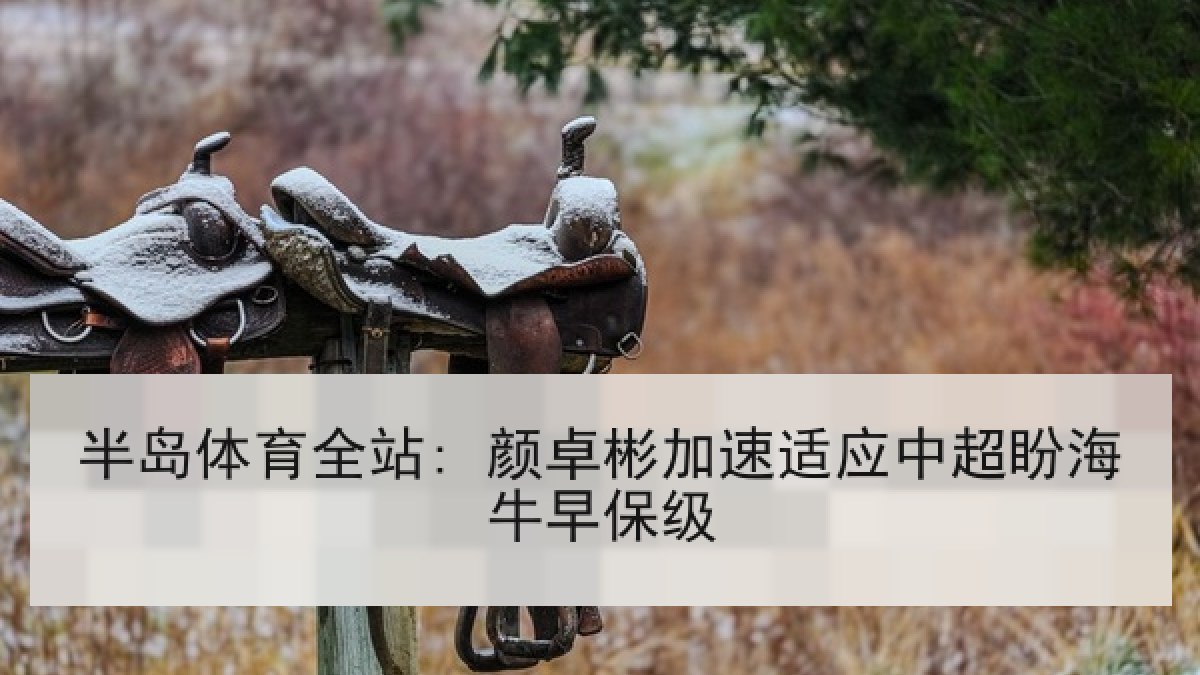 半岛体育全站: 颜卓彬加速适应中超盼海牛早保级