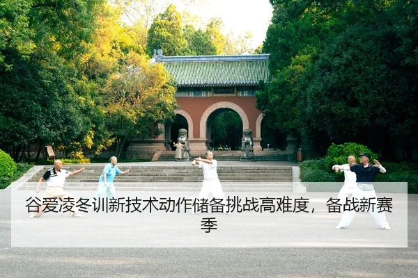 gu-ai-ling-dong-xun-xin-ji-shu-dong-zuo-chu-bei-tiao-zhan-gao-nan-du-bei-zhan-xin-sai-ji-3-654.jpg